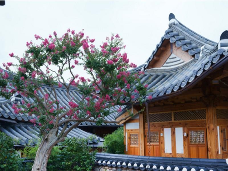 Dajeong Guesthouse Чонджу Экстерьер фото